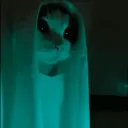 tacoztwo avatar