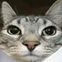 thatonebob2