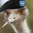 emu.war.veteran avatar