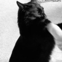 avatar 𝖑𝖊𝖛𝖎𝖓