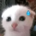 chromadude avatar
