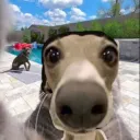 Аватар cyberzayac