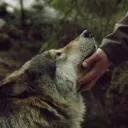 muttsappreciated