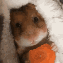 slow.is.cute