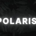 polaris81998