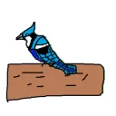 jaybike_games