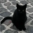 aldorazzino