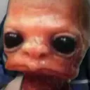 jtxlando