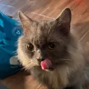 miminibba