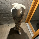 fucckjus