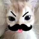 xyxyllp