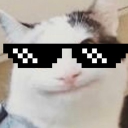 damemeguy5