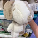 alyshrimp