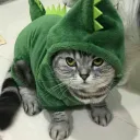 lizanduus