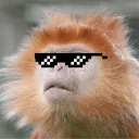 wmdan_