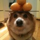 Qᴜᴇʀᴀᴛʏꜱ 么