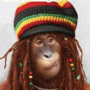 avatar शैαʍøø βαhαδøøƦ____™✓