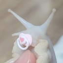 avatar snail