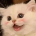 avatar ˙˚ʚÿɞ˚˙