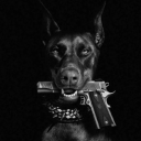 avatar 𝚂𝚕𝚓.