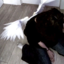 avatar 𝐿𝑢𝑐𝑎