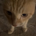 avatar ⋆ 𐙚 Valentina ᡣ𐭩 𖥔 ݁ ˖