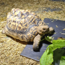 olivyne01#2944's avatar