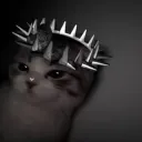 yinqfn.