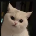 abcdefghijklmnop_