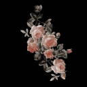 avatar مُحَمَّد