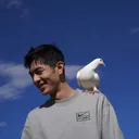 zhutou88
