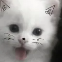 semankivvv