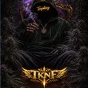 terpking39