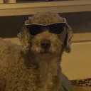 vauhti_jarmo