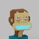 voxelers.