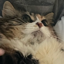 avatar Lucy (Ксенія)