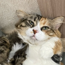 avatar Lucy (Ксенія)