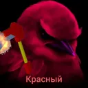 .neksal