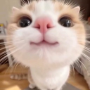 omuraisu