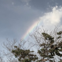 avatar Ocir Muntuuntu ?