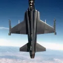 tigershark163