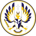 theironphoenix4489