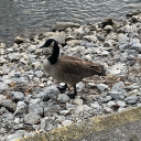 avatar orrwat orrwat orrwat orrwat