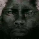 daniperbest