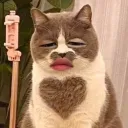 Đức anh's Avatar