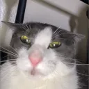 themrmoki