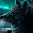 jack_wolf01