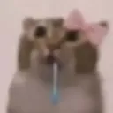 akarivt