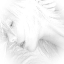 avatar His Lótus Flower