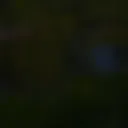 67mangoslavetoeric